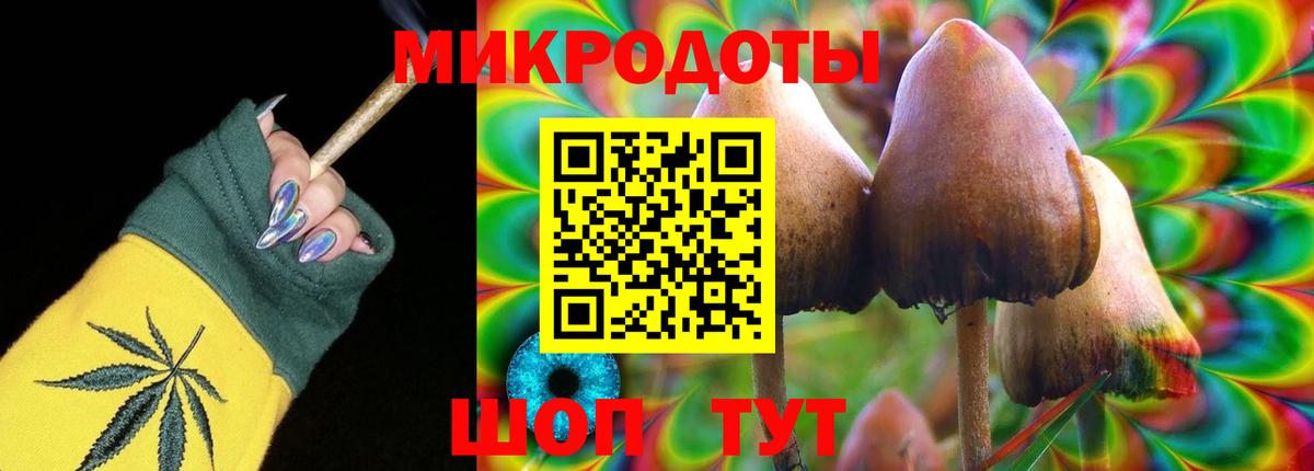 Псилоцибиновые грибы Psilocybe Сегежа